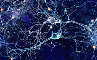 Unveiling the Electric Brain Pictures: Understanding EEG in Simple Terms